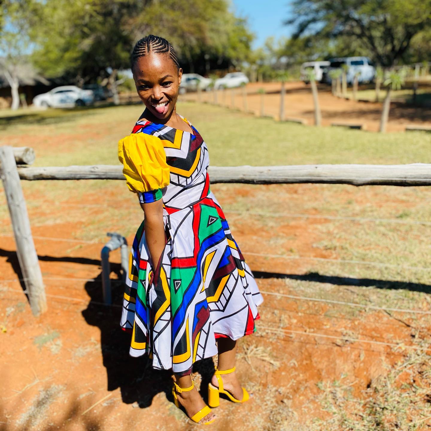 Ndebele Culture Tribe Pattern Arts Houses Traditional